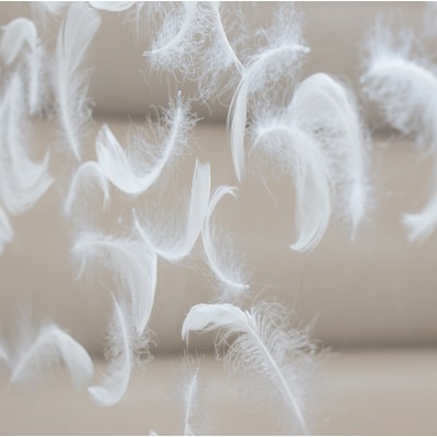 Design-Sessel MW02 Sonderedition "Plume" aus Altuglas, handgefertigt in Frankreich. Design-Sessel MW02 Sonderedition "Plume" aus Altuglas, handgefertigt in Frankreich.