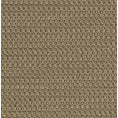 MW01 Design sofa - Foam Seat - Bronze PMMA