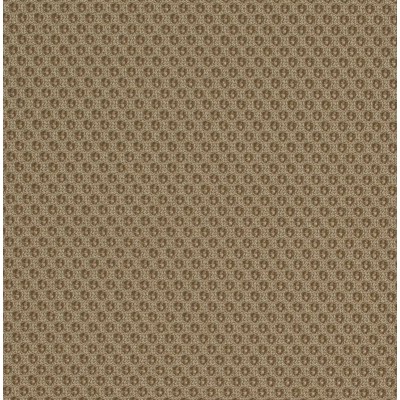 Designer-Sessel MW03 aus transparentem Acrylglas - Schaumstoffsitz - Handgefertigt in Frankreich. Designer-Sessel MW03 aus transparentem Acrylglas - Schaumstoffsitz - Handgefertigt in Frankreich.