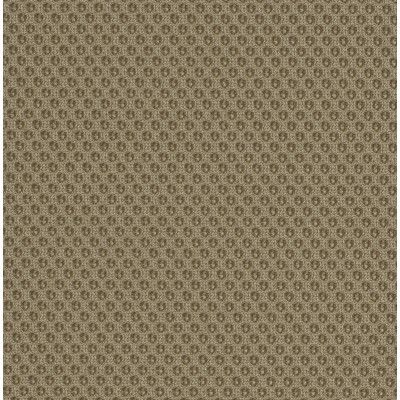 MW07 Design sofa - Foam Seat - PMMA